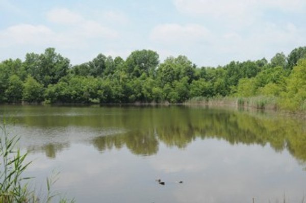 1,025 Acres in 24 Tracts - Exellent Recreation Opportunity - Potential Building Sites - 11 Lakes & Ponds